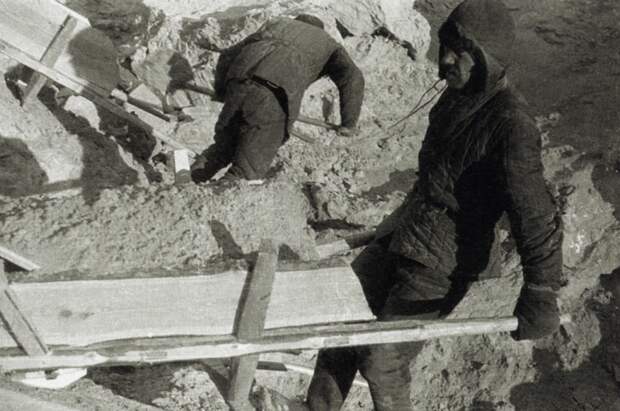 5 фактов о ватнике 1efc19188317b9120ad50503147 5 фактов о ватнике