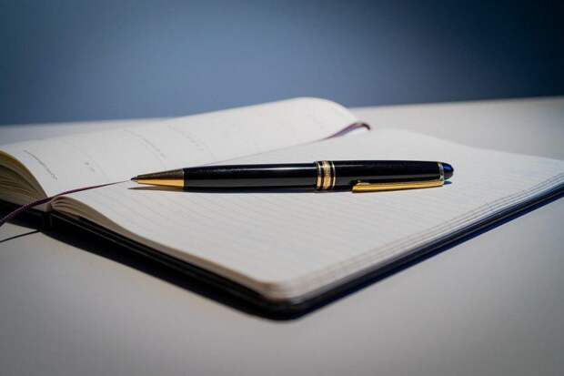 Встреча/ Фото pixabay.com