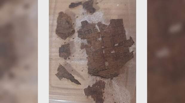 В брюшной полости мумии в Эль‑Бахнасе обнаружили папирус с отрывком «Илиады»