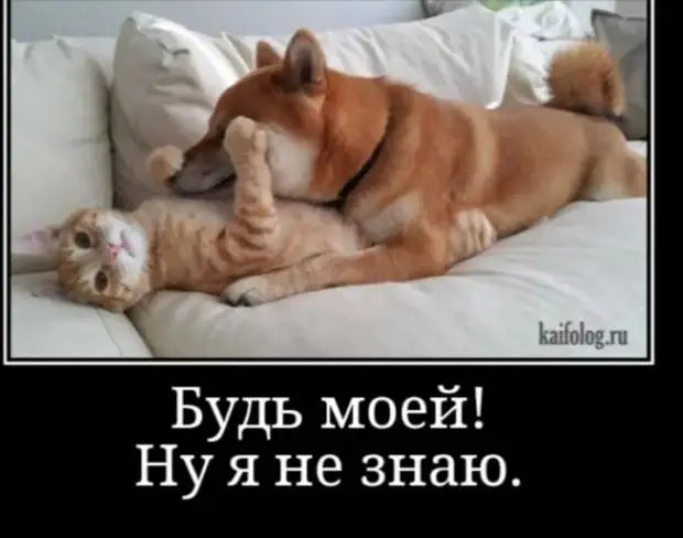 Слова, которые нам так нужны, чаще всего произносят люди, от которых нам ничего не нужно Слова, которые нам так нужны, чаще всего произносят люди, от которых нам ничего не нужно всегда, проблема, проблемы, Шпага, турков, только, русский, чемодан, почерком—, самом, Поставьте, пожалуйста, должно, написано, одним, хорошую, фигуру, мужем, нужно, отношения