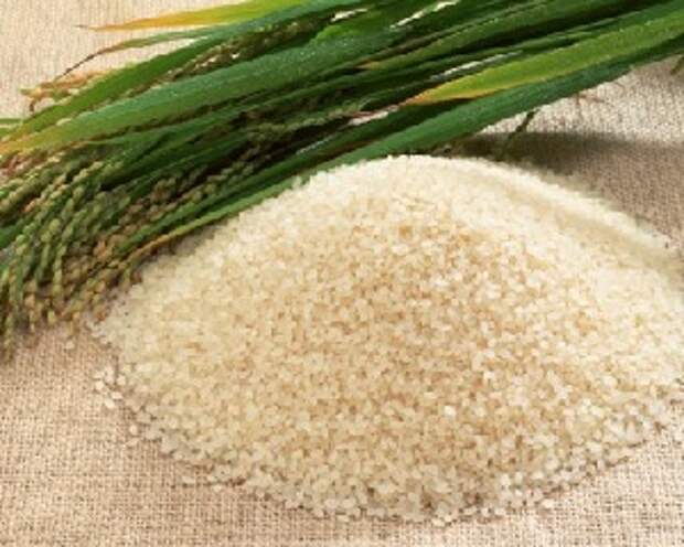 очищение суставов рисом
