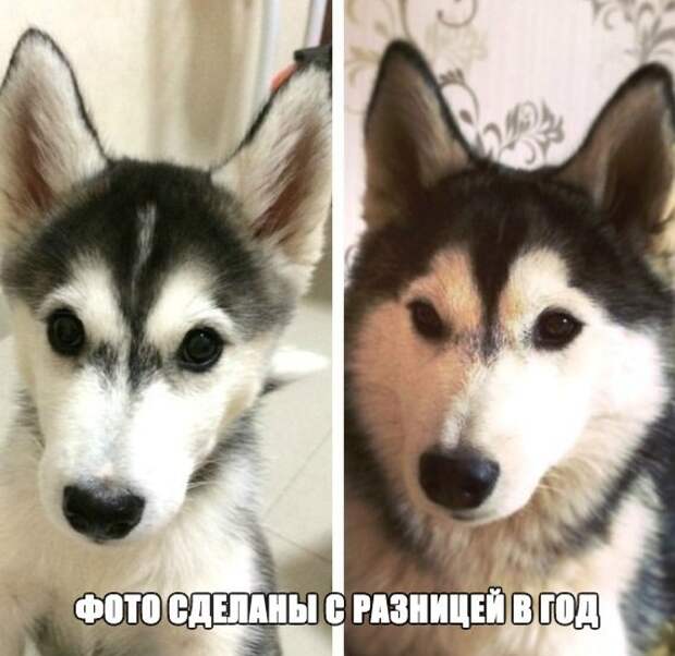 Свежие и веселые картинки с надписями со смыслом (11 фото) Свежие и веселые картинки с надписями со смыслом (11 фото)