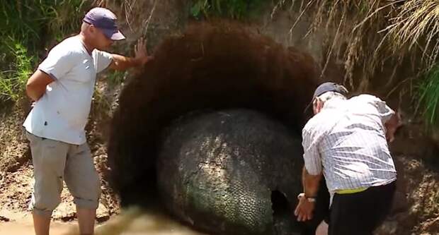 Фермер обнаружил огромное "яйцо" на своей земле