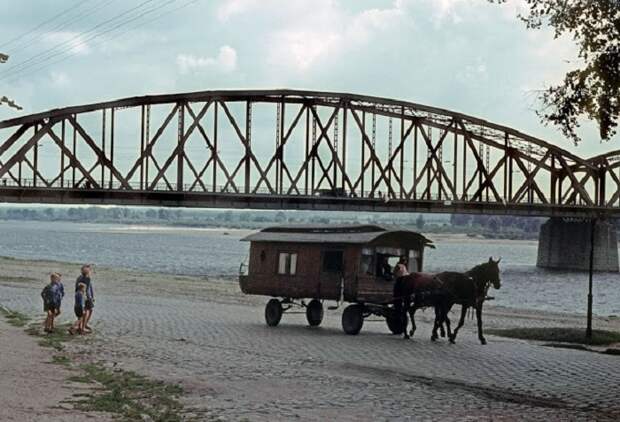 15 колоритных фотографий о жизни цыган в 1960-х годах