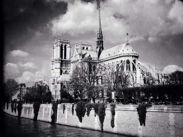 they-settled-the-le-de-la-cit-now-the-site-of-notre-dame