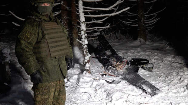 ЦРУ отрицает, что Украина атаковала дронами резиденцию Путина