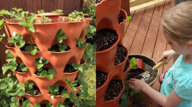 Garden Tower