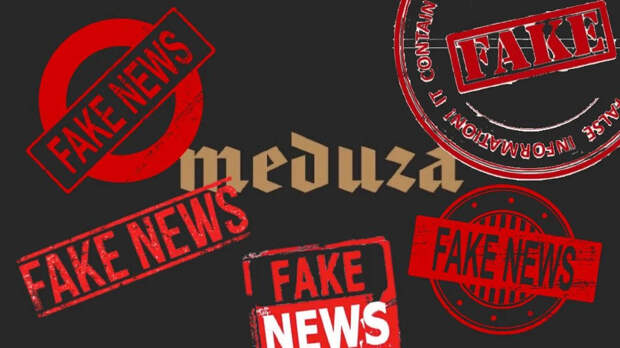 «Медуза» наработала на срок: русофобское издание пропагандирует педофилию