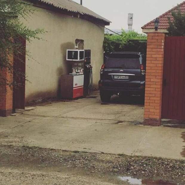 Прикольные картинки