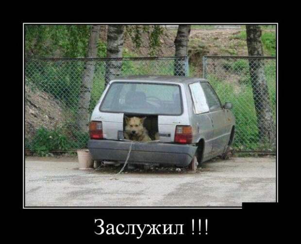 Изумительные Демотиваторы
