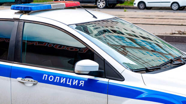 В Москве неизвестный наехал на пешеходов на переходе: 5 пострадавших, в том числе 2 ребенка