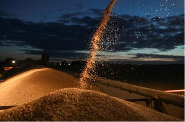 A combine loads a truck with wheat during harvesting in a field of Triticum farm in Omsk region, Russia September 16, 2020. Picture taken September 16, 2020. REUTERS/Alexey Malgavko