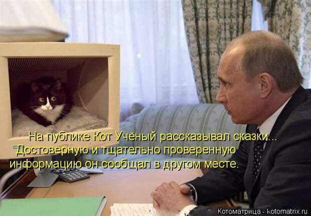 Лучшие котоматрицы недели (50 фото)