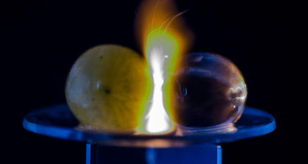 a photo of a grape and water-soaked bead side by side in a microwave, a plasma fireball has sparked where they are touching