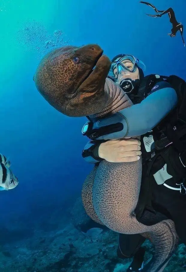 Всяческие фотоприколы