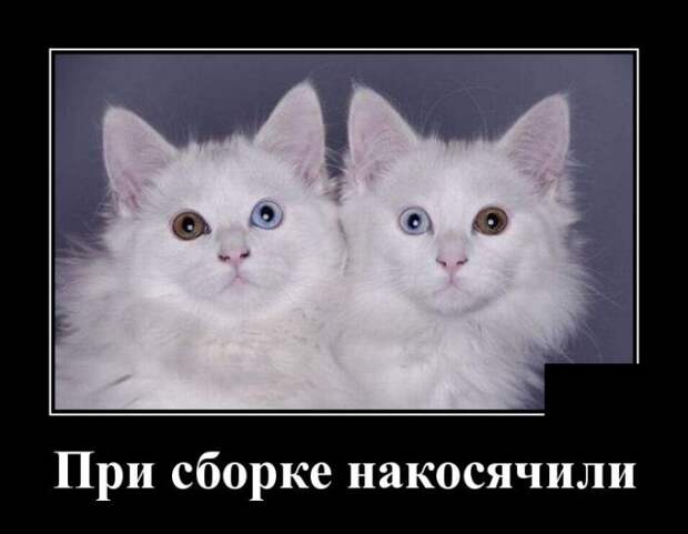 www.vsyako.net