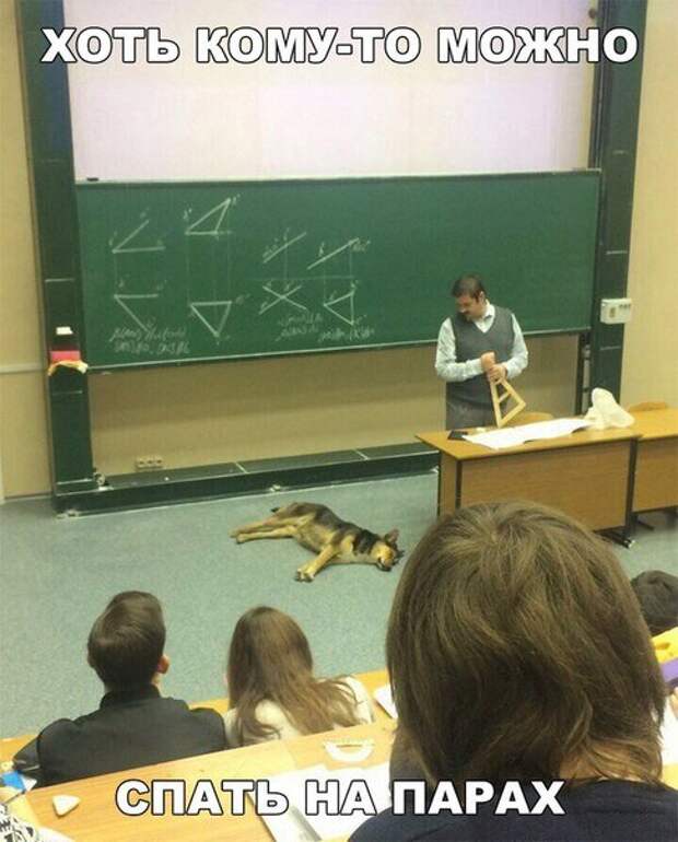 Новые фотомемы на Бугаге (23 шт)