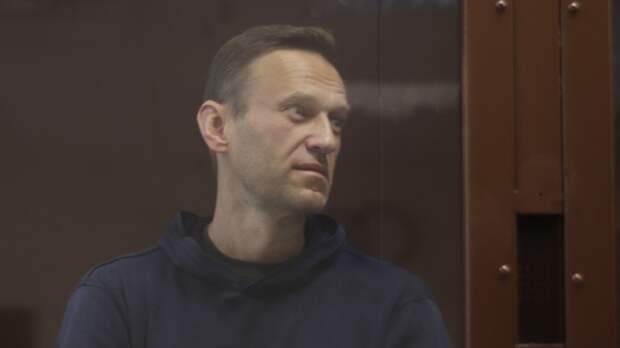 ФАН проанализировал, почему сторонники Навального массово сбежали в Грузию