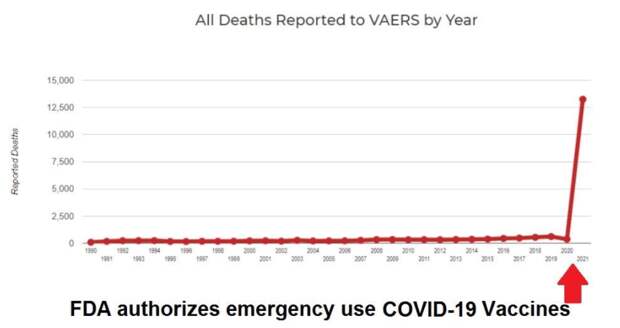 Продержаться 28 дней: о каких последствиях вакцинации нам не говорят