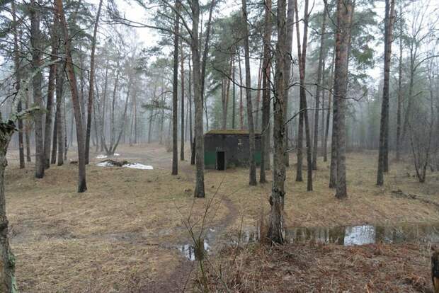 Современный вид надземной части бункера Беренхалле
