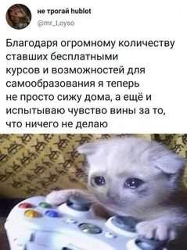 Смешные комментарии. Подборка chert-poberi-chert-poberi-51411010042020-13 картинка chert-poberi-51411010042020-13