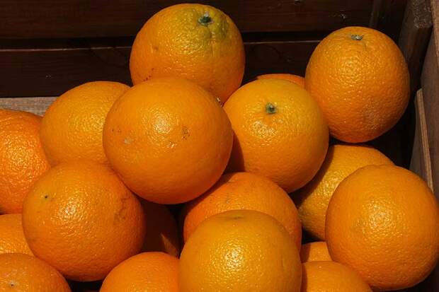 Фото: Victor Lisitsyn/Global Look Press/www.globallookpress.com