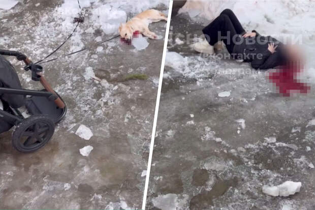 В Сверловской области две женщины и собака пострадали при сходе льда с крыши