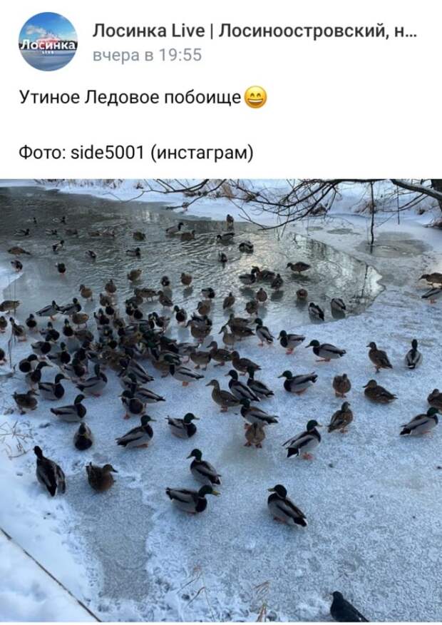 Фото: скриншот записи в сообществе «Лосинка Live | Лосиноостровский, надень маску» Вконтакте