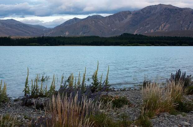 ozero-tekapo-09