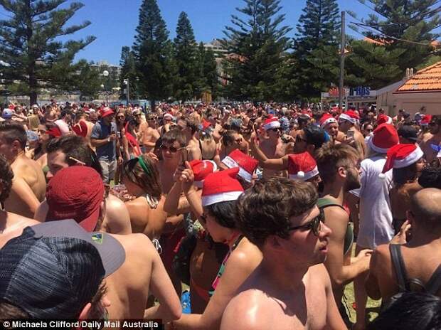 Спонтанная рождественская вечеринка на пляже Куджи в Сиднее: вот так должно выглядеть Рождество! австралия, вечеринка, видео, рождество