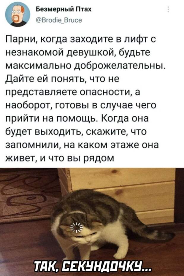 Смешные картинки 1 ноября 2021 года