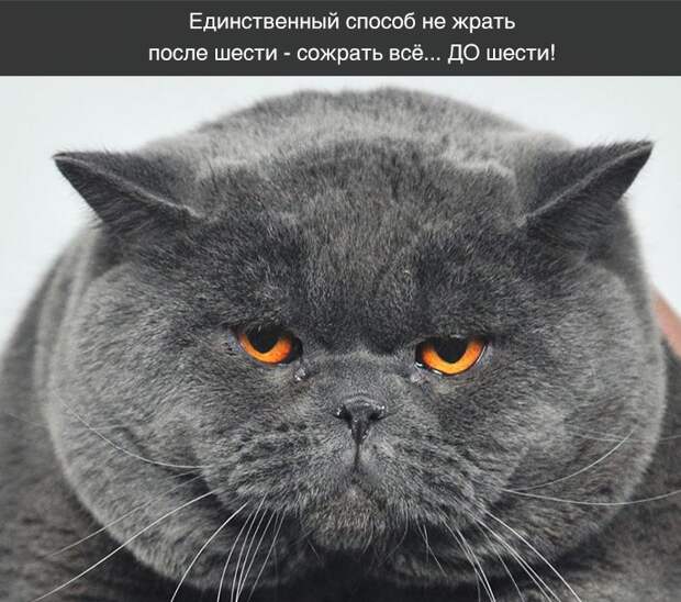 Подборка классных демотиваторов № 156