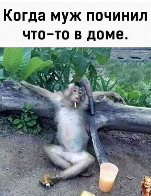 Мужики такие ))) Мужики такие )))