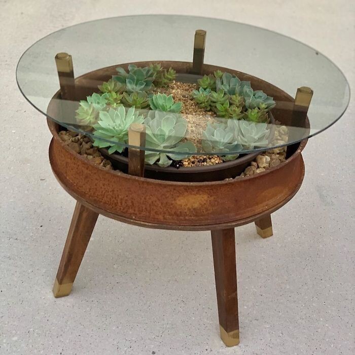 25 столов с «садами» из суккулентов от профессионалов Blooming Tables