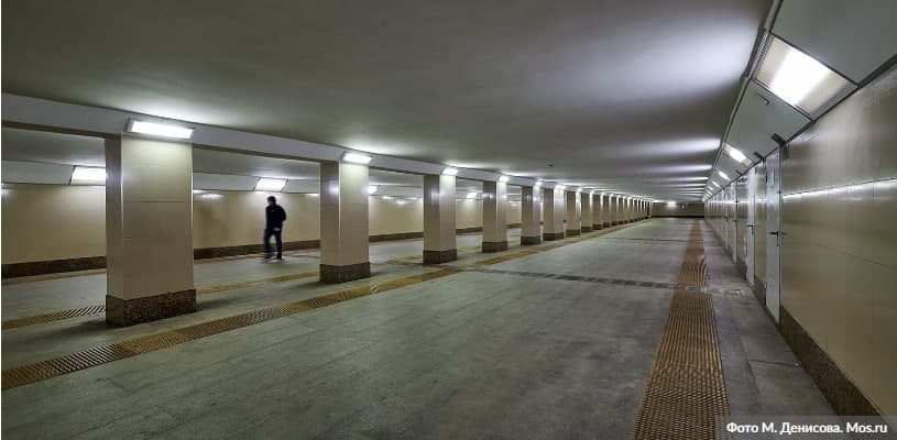 Активные граждане проголосовали за название новой станции БКЛ. Фото: М. Денисов mos.ru