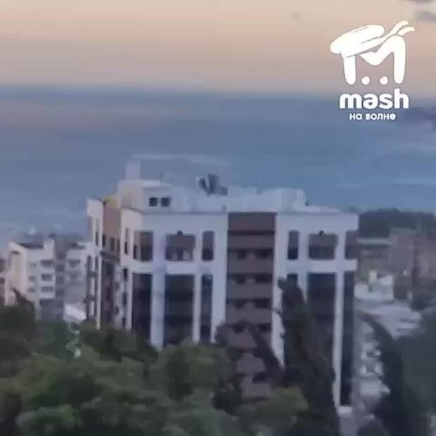 Тотальный демонтаж в Ялте: ветер сносит деревья и провода, по улицам летает мусор