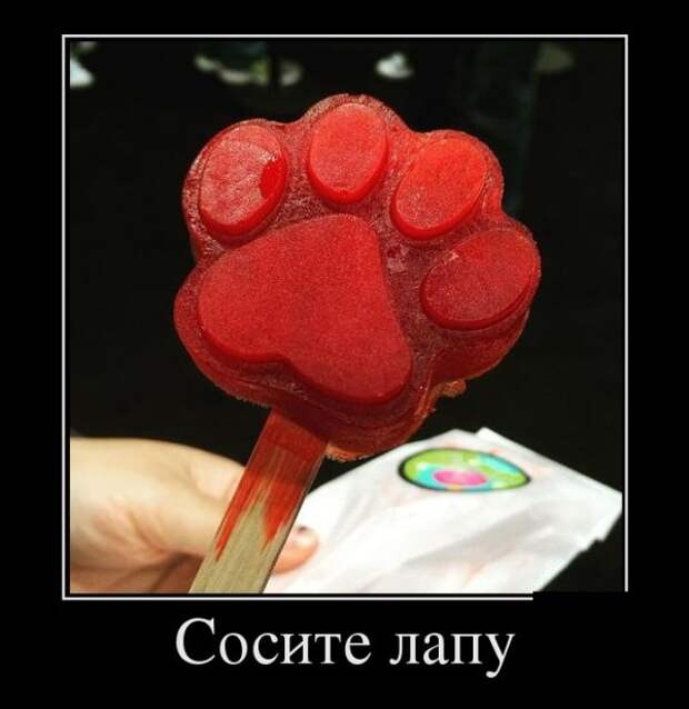 Демотиваторы