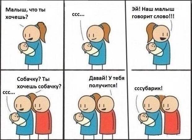 Приколы Приколы