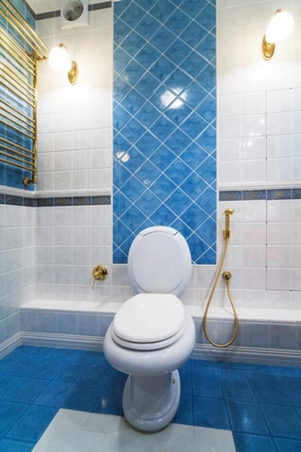 new toilet bowl