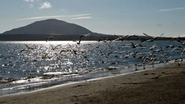 Мэр Курильска прокомментировал слова премьера Японии о Курильских островах