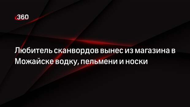 Росгвардия задержала в Подмосковье похитителя сканвордов, водки и носков