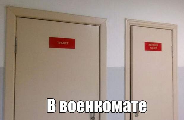 Подборка веселых фото из сетей