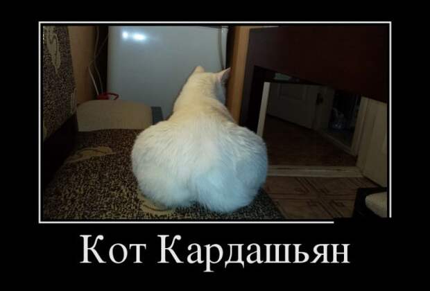 Демотиваторы - 1000 Демотиваторы - 1000