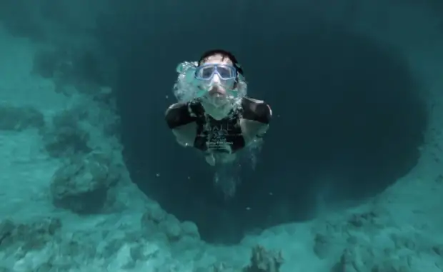 Физиология Перед новой задержкой дыхания обрызгайте лицо холодной водой. Ученые выяснили, что такой контакт провоцирует замедление биения сердца — это рефлекс всех млекопитающих на ныряние.