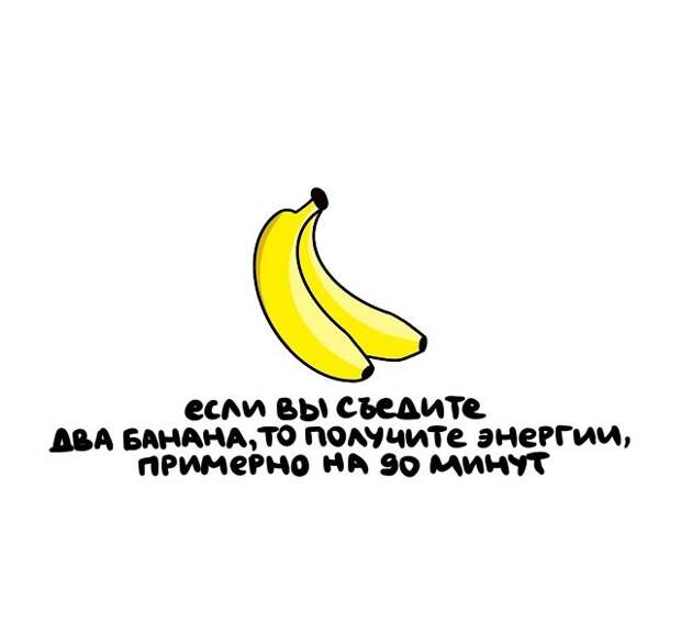 Интересные короткие факты на все случаи жизни