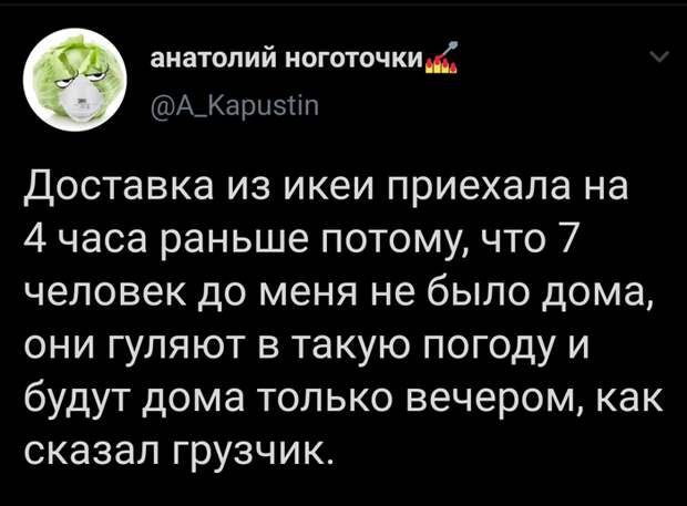 Спалил Спалил