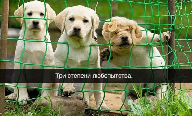 Очень низко над землей летел беспилотник. За ним, отчаянно матерясь, бежал пилот…