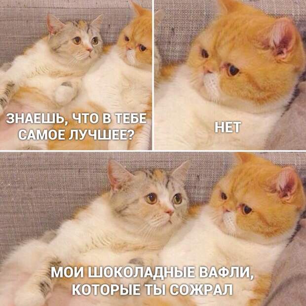 Высокие отношения