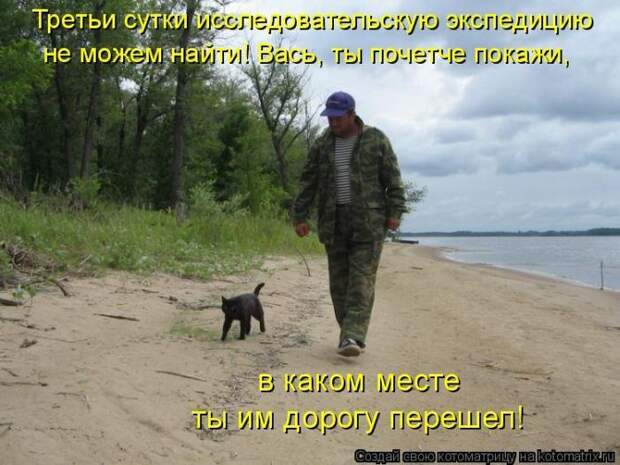Мысли вслух :)