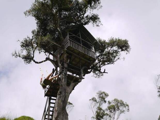 Casa Del Arbol — необычные качели над пропастью экстрим, развлечения